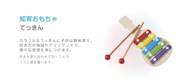 知育おもちゃ てっきん カラフルなてっきんに子供は興味津々。叩き方の強弱やグリッサンドで、様々な音感を身につけます。好きな歌に合わせて叩くことで、リズム感を養います。
