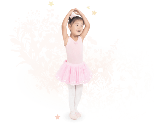 フェアリークラス