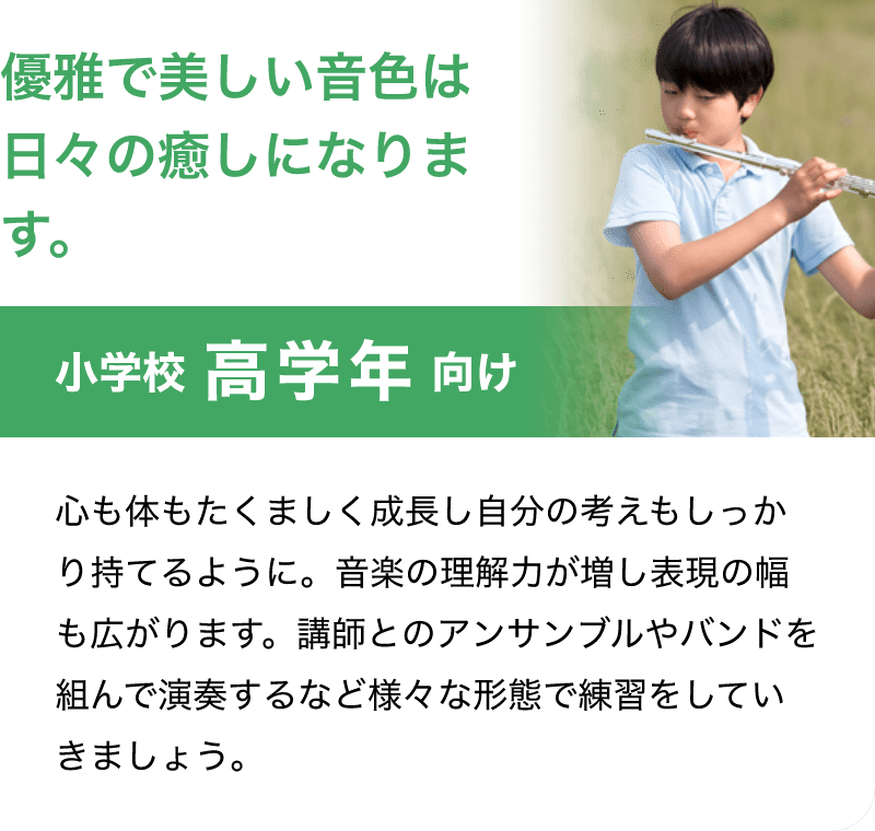 「優雅で美しい音色は日々の癒しになります。」「小学校 高学年 向け」「心も体もたくましく成長し自分の考えもしっかり持てるように。音楽の理解力が増し表現の幅も広がります。講師とのアンサンブルやバンドを組んで演奏するなど様々な形態で練習をしていきましょう。」