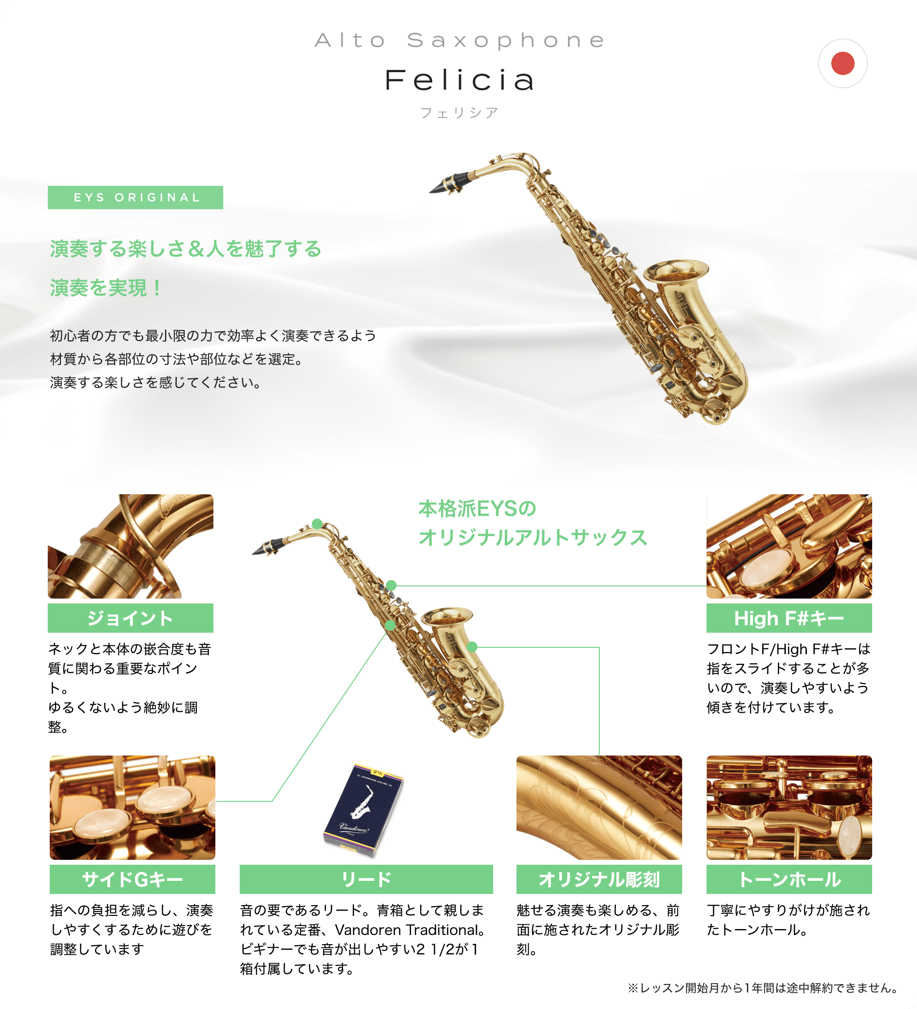 Alto Saxophone Felicia フェリシア EYS ORIGINAL 「演奏する楽しさ＆人を魅了する演奏を実現！初心者の方でも最小限の力で効率よく演奏できるよう材質から各部位の寸法や部位などを選定。演奏する楽しさを感じてください。」「本格派EYSのオリジナルアルトサックス」「ジョイント：ネックと本体の嵌合度も音質に関わる重要なポイント。ゆるくないよう絶妙に調整。」「サイドGキー：指への負担を減らし、演奏しやすくするために遊びを調整しています」「リード：音の要であるリード。青箱として親しまれている定番、Vandoren Traditional。ビギナーでも音が出しやすい2 1/2が１箱付属しています。」「オリジナル彫刻：魅せる演奏も楽しめる、前面に施されたオリジナル彫刻。」「トーンホール：丁寧にやすりがけが施されたトーンホール。」「High F#キー：フロントF/High F#キーは指をスライドすることが多いので、演奏しやすいよう傾きを付けています。」
