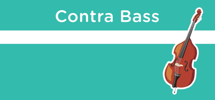 コントラバスコース