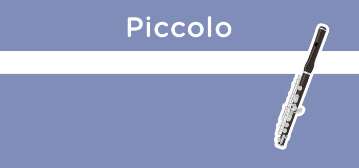 ピッコロコース