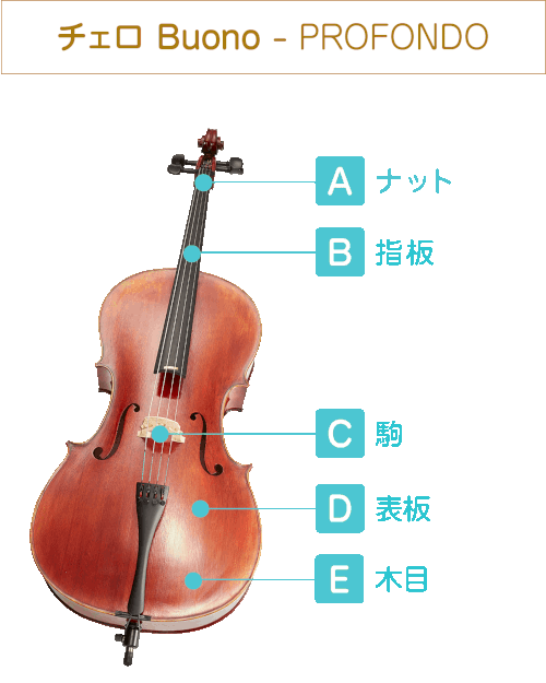 チェロ Buono - PROFONDO  A:ナット B:指板 C:駒 D:表板 E:木目