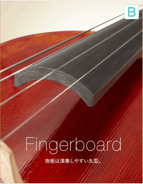 B  Fingerboard 指板は演奏しやすい丸型。