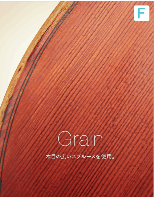 F  Grain 木目の広いスプルースを使用。