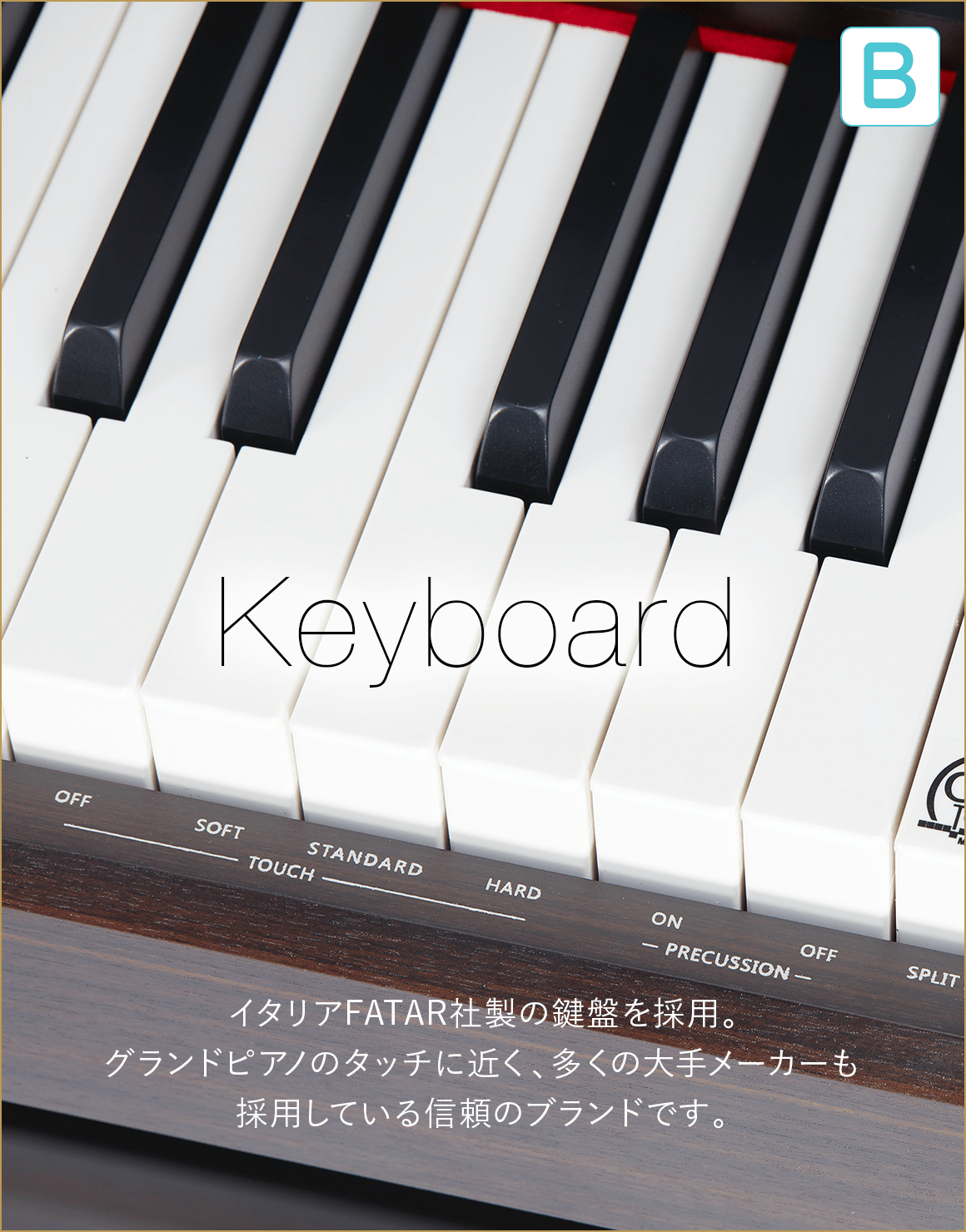 B  Keyboard　イタリアFATAR社製の鍵盤を採用。グランドビアノのタッチに近く、多くの大手メーカーも採用している信頼のブランドです。