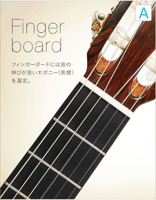 A  Finger board フィンガーボードには音の伸びが良いエボニー（黒壇）を選定。