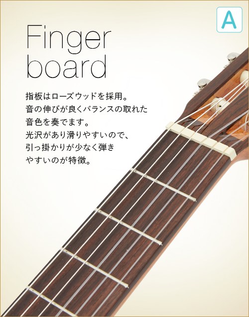 A  Finger board　指板はローズウッドを採用。音の伸びが良くバランスの取れた音色を奏でます。光沢があり滑りやすいので、引っ掛かりが少なく響きやすいのが特徴。