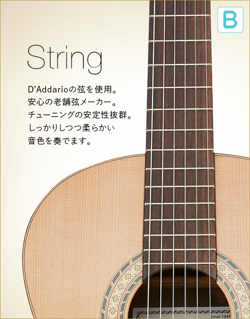 B  String　D'Addarioの弦を使用。安心の老舗弦メーカー。チューニングの安定性抜群。しっかりしつつ柔らかい音色を奏でます。