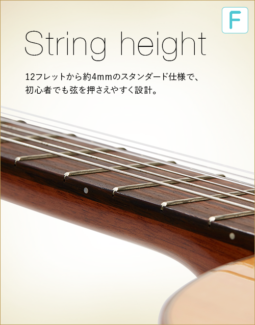 F  String height　12フレットから約4mmのスタンダード仕様で、初心者でも弦を押さえやすく設計。
