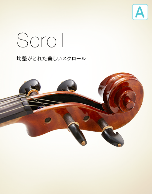 A  Scroll　均整がとれた美しいスクロール